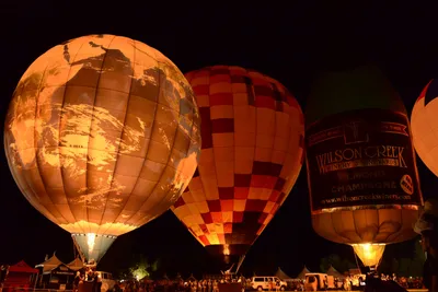 DSC_2441 (Large).JPG